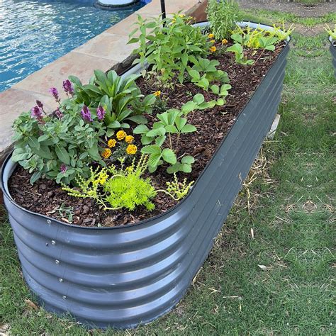 tall metal raised garden beds